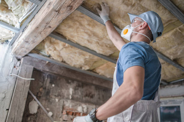 Best Home Insulation Services  in Jericho, NY