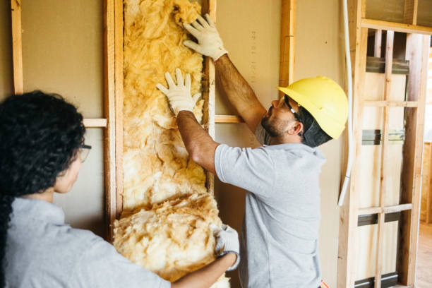 Best Attic Insulation Installation  in Jericho, NY